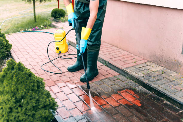 Best Driveway Pressure Washing  in Blakely, GA